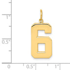 10k Large Polished Number 6 Charm