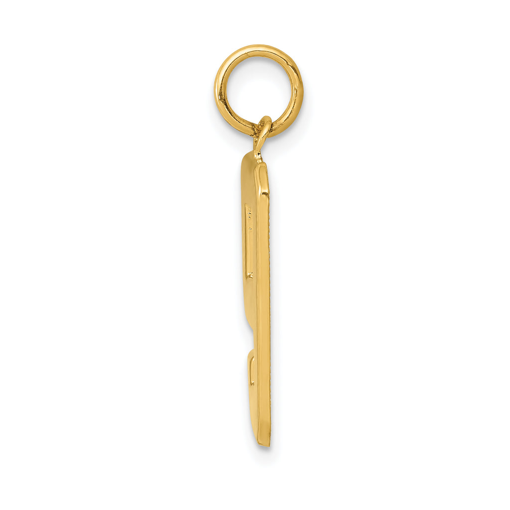10k Large Polished Number 9 Charm