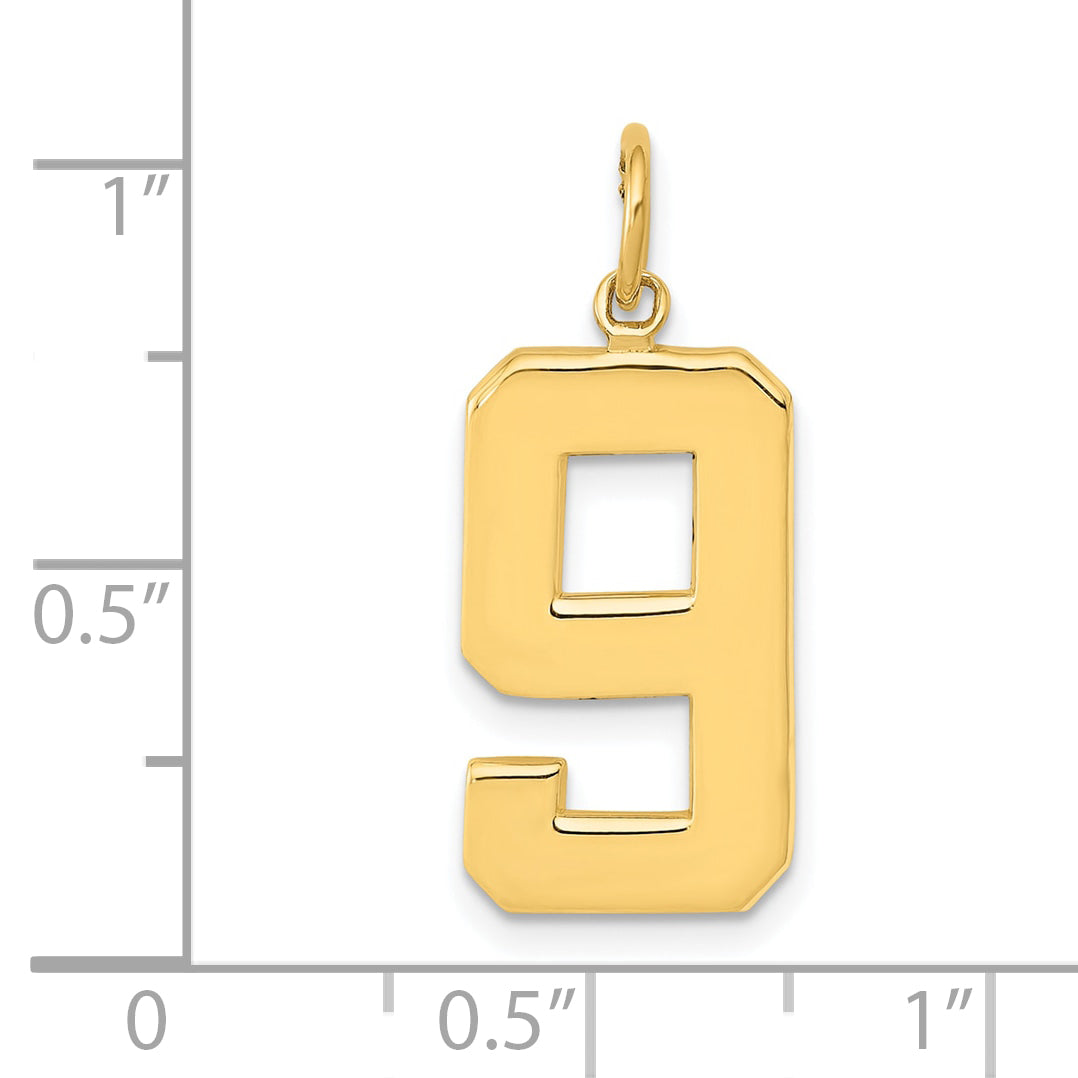 10k Large Polished Number 9 Charm