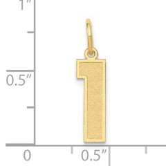 10k Medium Satin Number 1 Charm