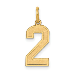 10k Medium Satin Number 2 Charm