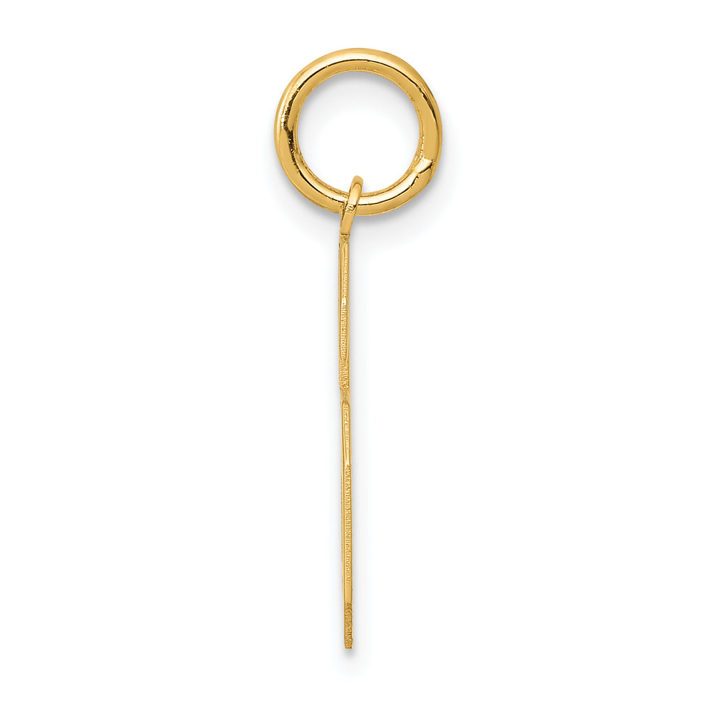 10k Medium Satin Number 6 Charm