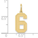 10k Medium Satin Number 6 Charm