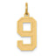 10k Medium Satin Number 9 Charm