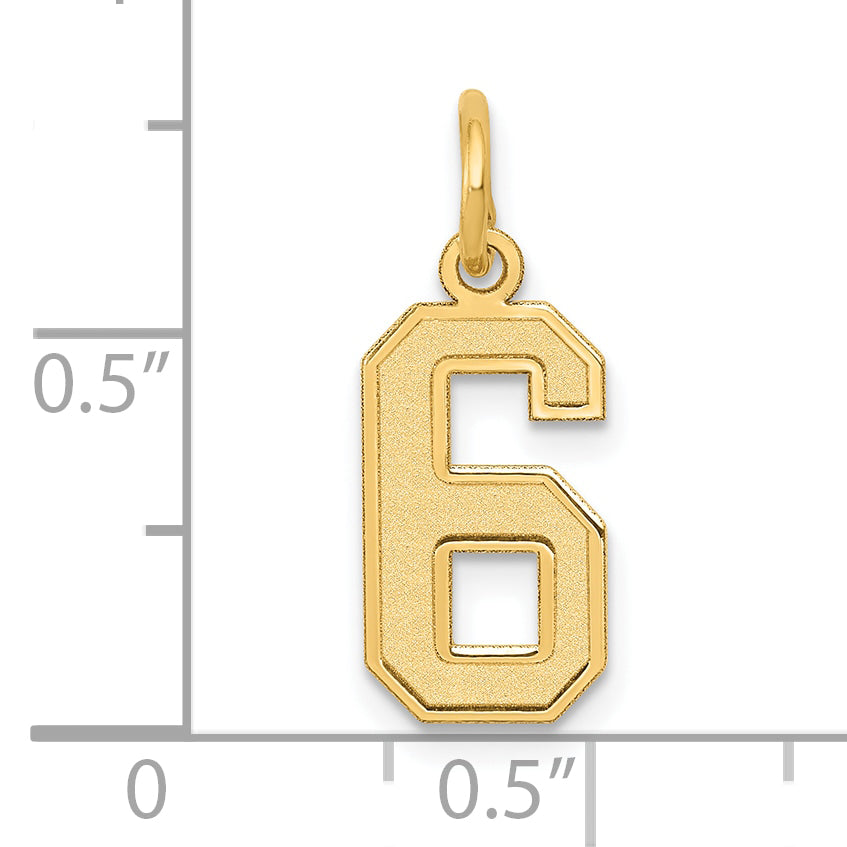 10k Small Satin Number 6 Charm