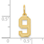 10k Small Satin Number 9 Charm