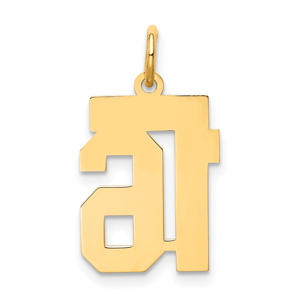 10ky Small Satin Number 16 Charm