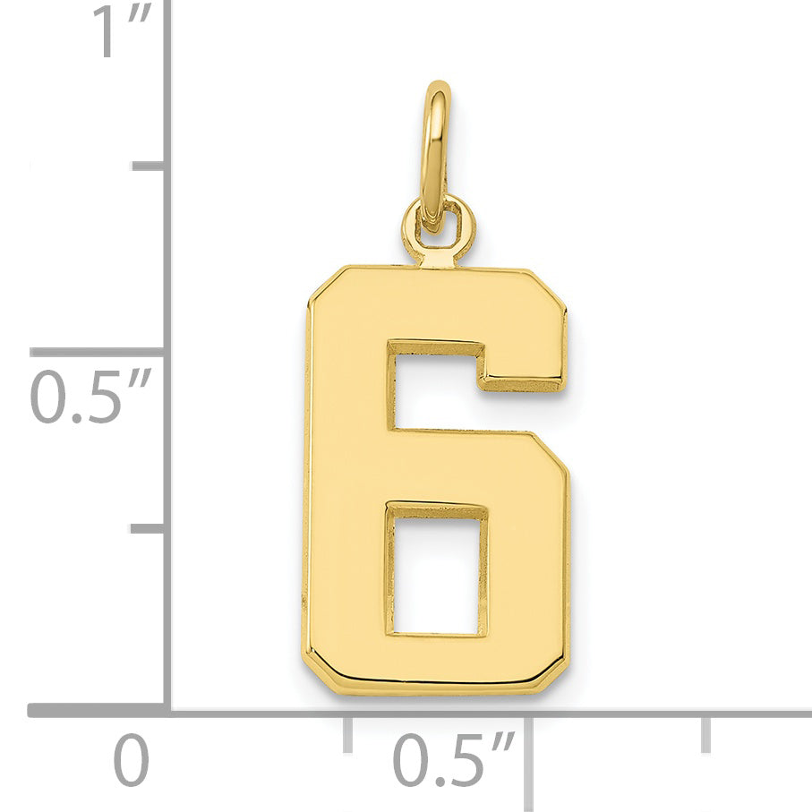 10k Medium Polished Number 6 Charm