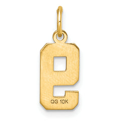 10ky Casted Small Diamond-cut Number 9 Charm