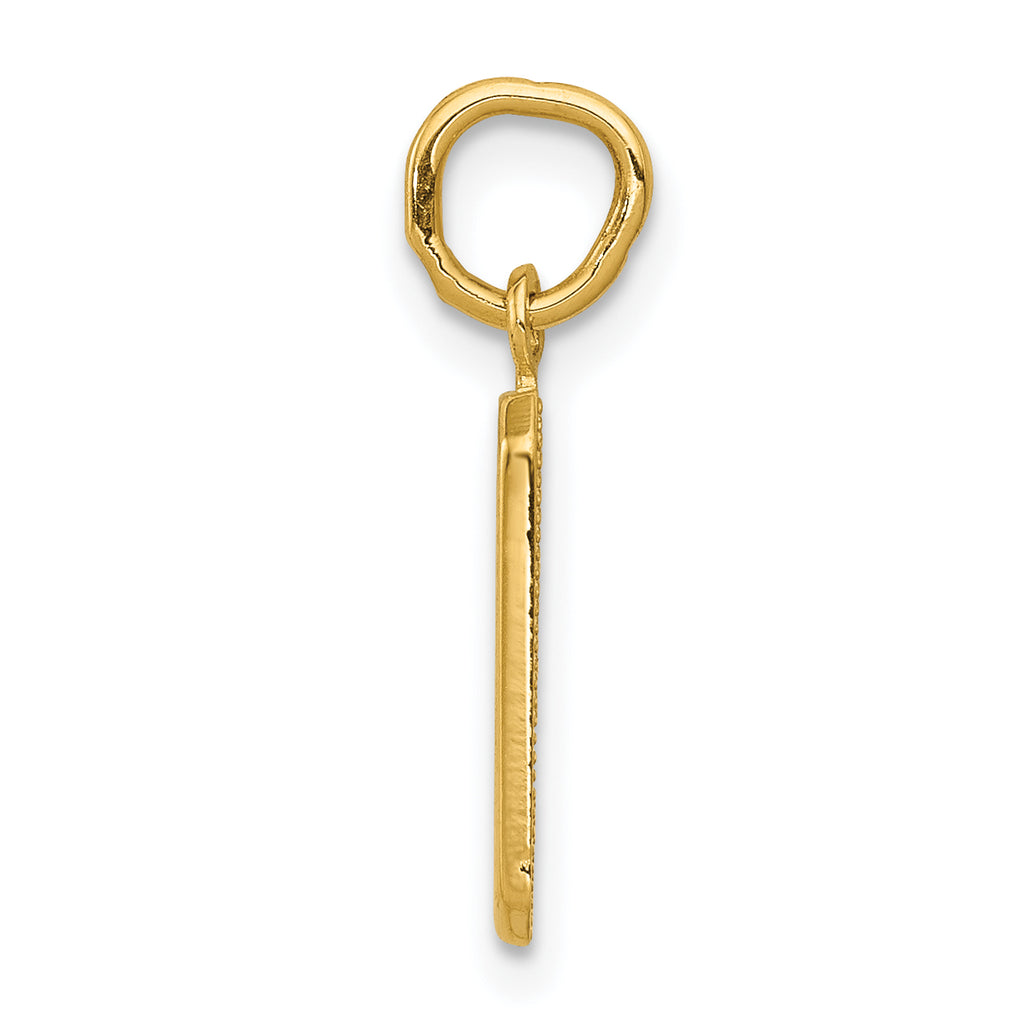 10k Small Polished Number 9 Charm