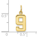 10k Small Polished Number 9 Charm