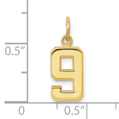10k Small Polished Number 9 Charm