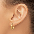 10k Satin and Diamond-cut 2mm Round Tube Hoop Earrings