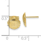 10k Scallop Shell Post Earrings