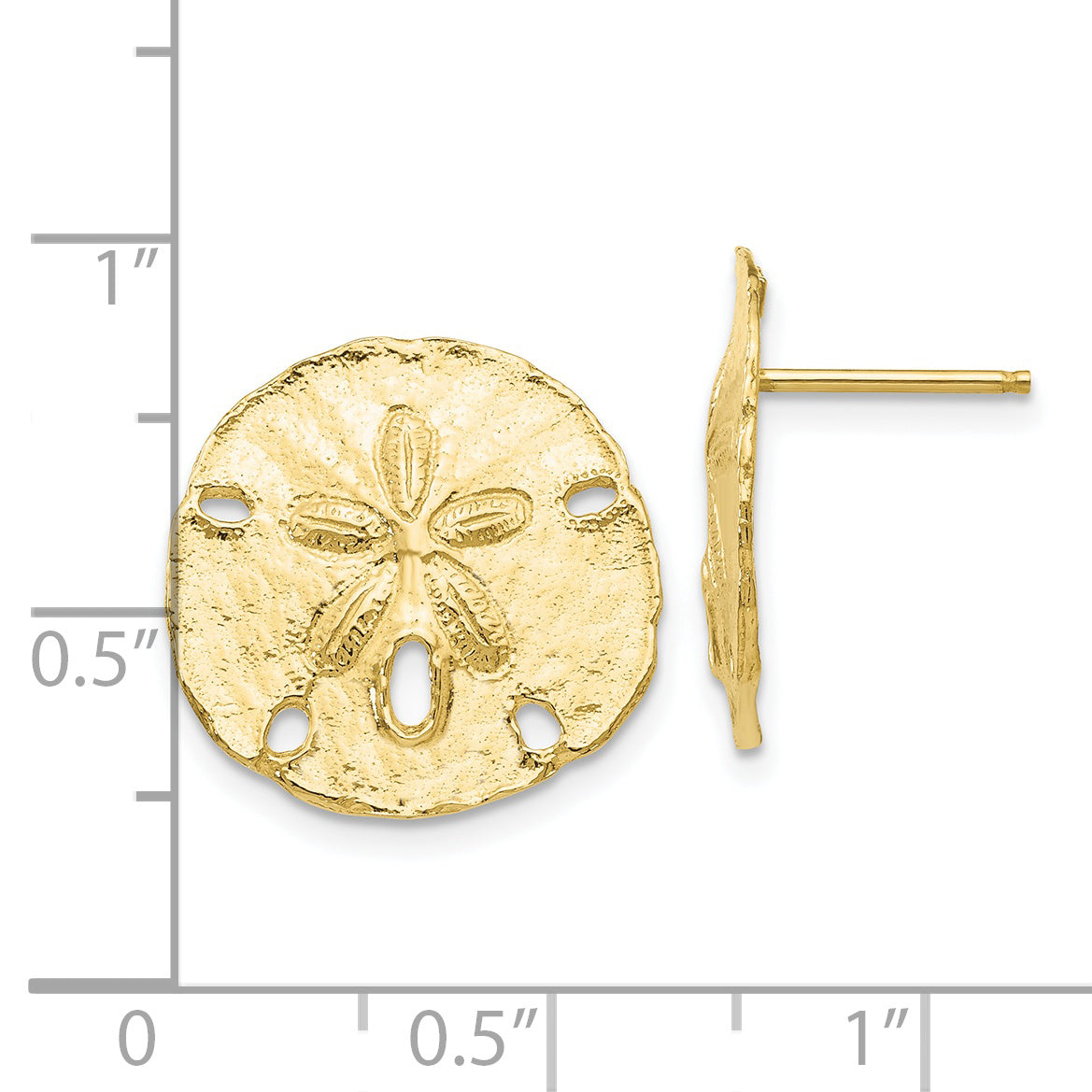 10k Large Sanddollar Post Earrings