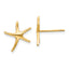10k Starfish Earrings