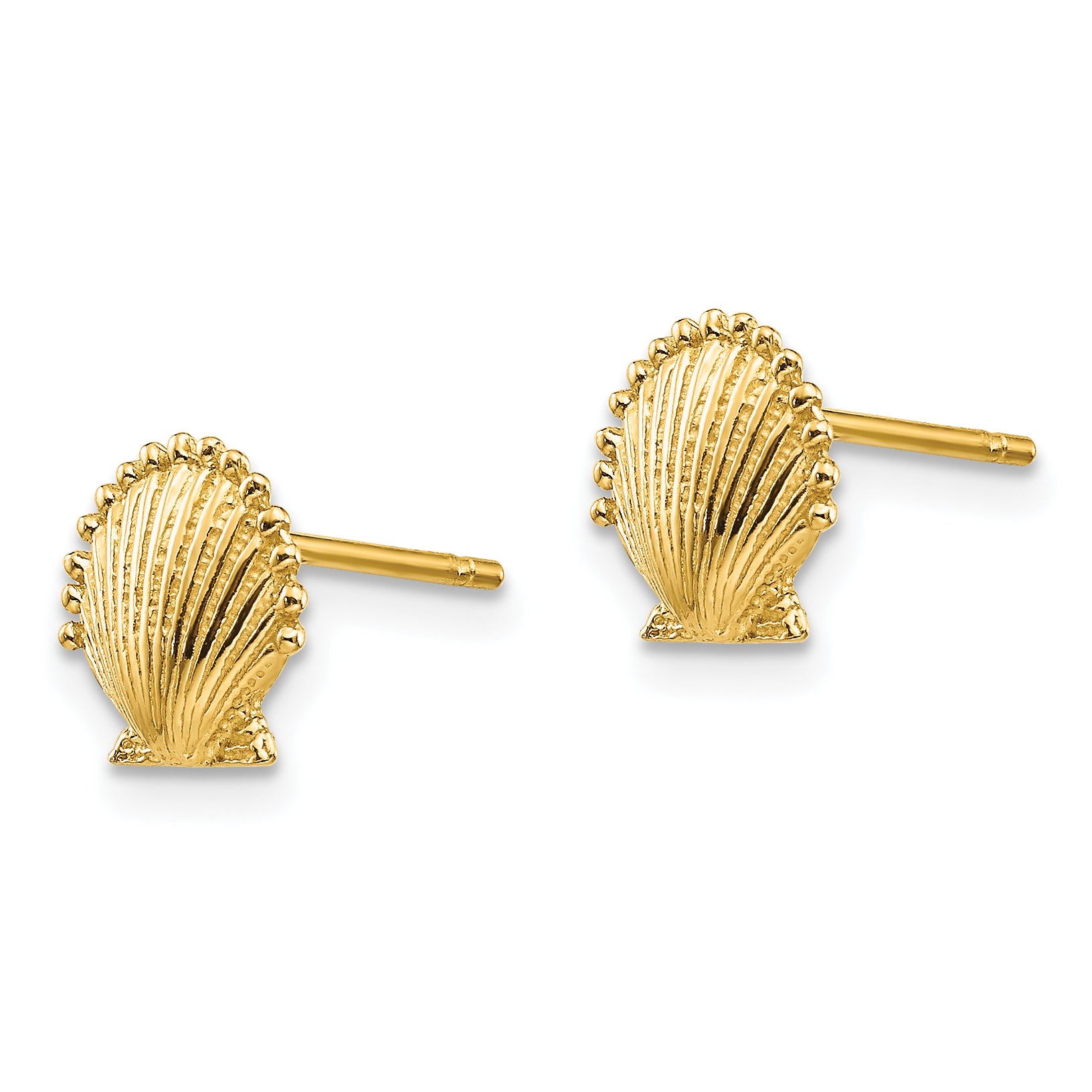 10K Scallop Shell Post Earrings Secondary image