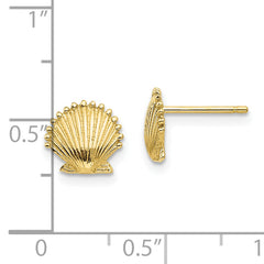 10K Scallop Shell Post Earrings