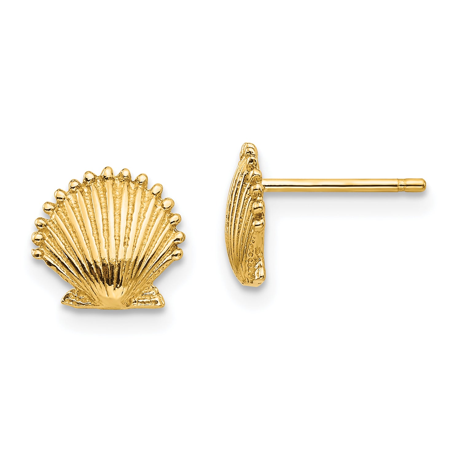 10K Scallop Shell Post Earrings Main image