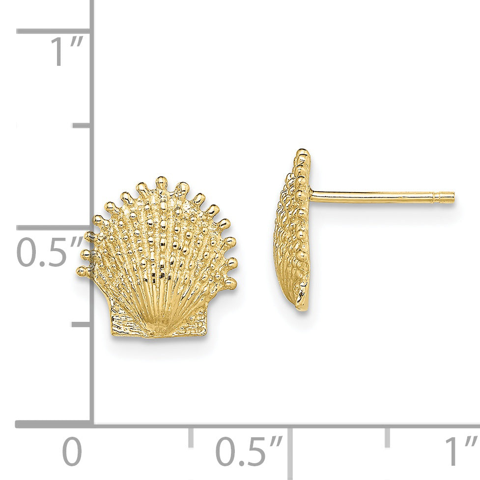 10K Beaded Scallop Shell Post Earrings