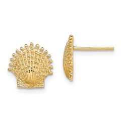 10K Beaded Scallop Shell Post Earrings
