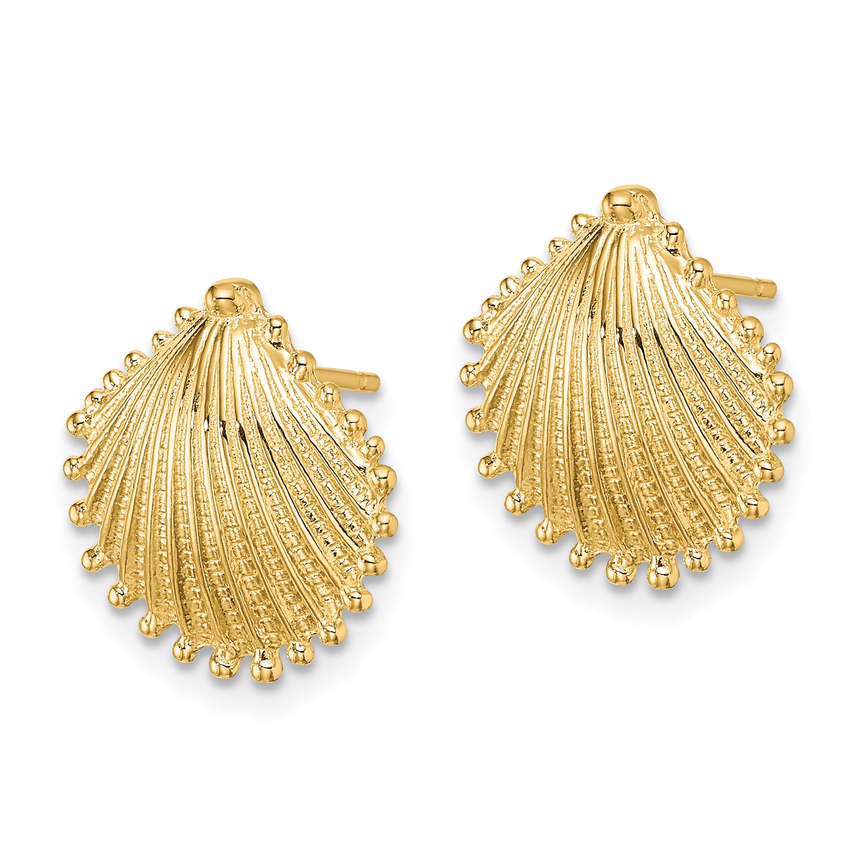 10K Scallop Shell Post Earrings Secondary image