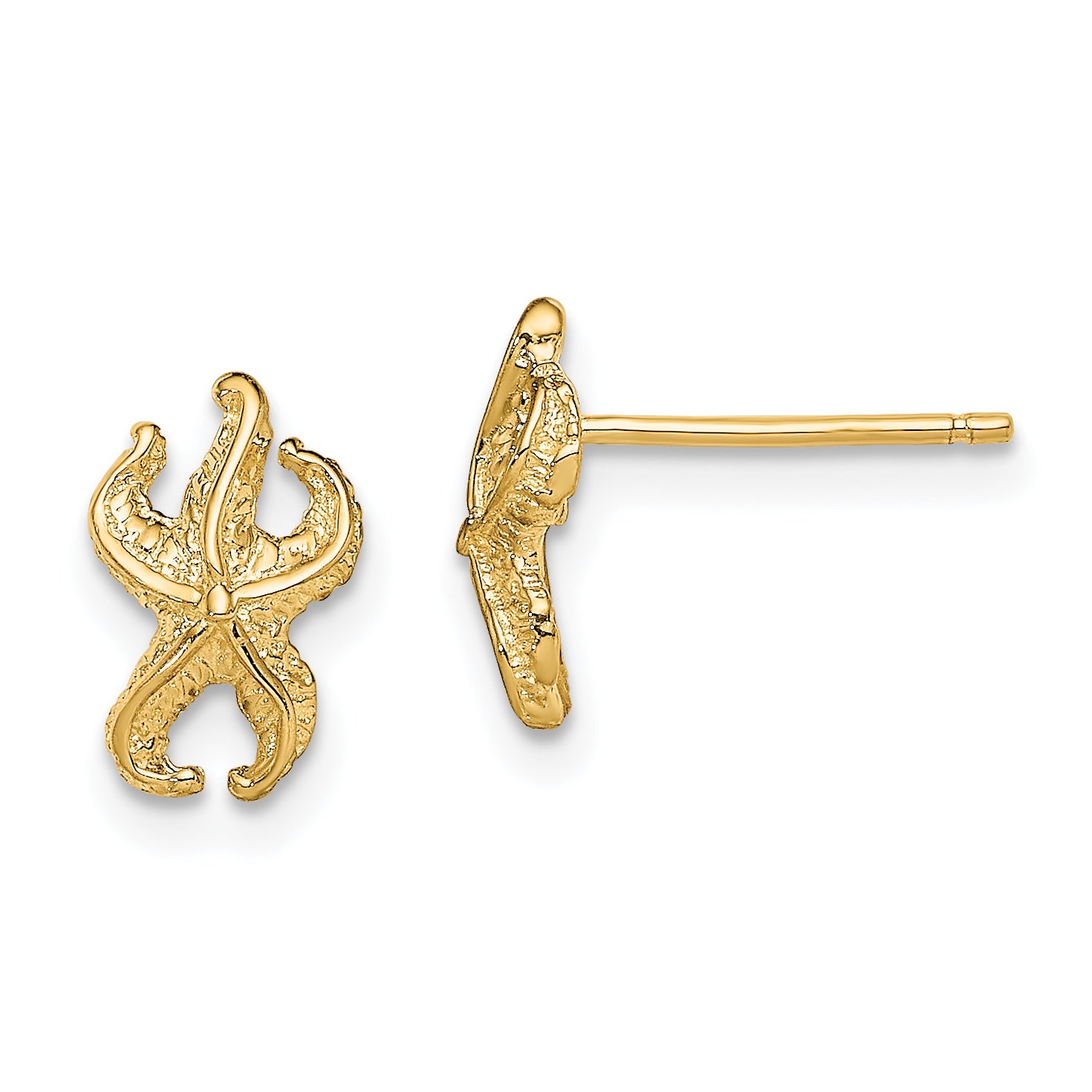 10k Starfish Post Earrings Main image