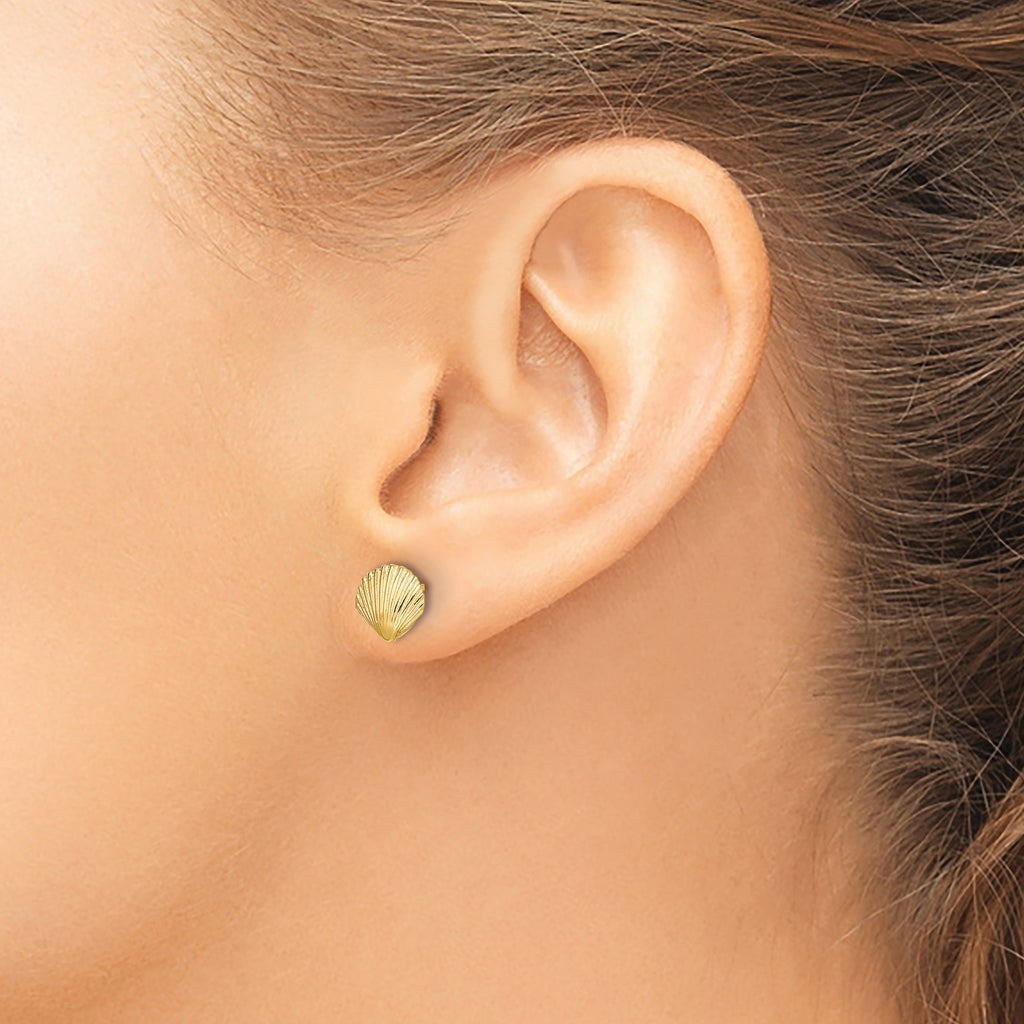 10K Scallop Shell Post Earrings
