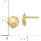 10K Scallop Shell Post Earrings