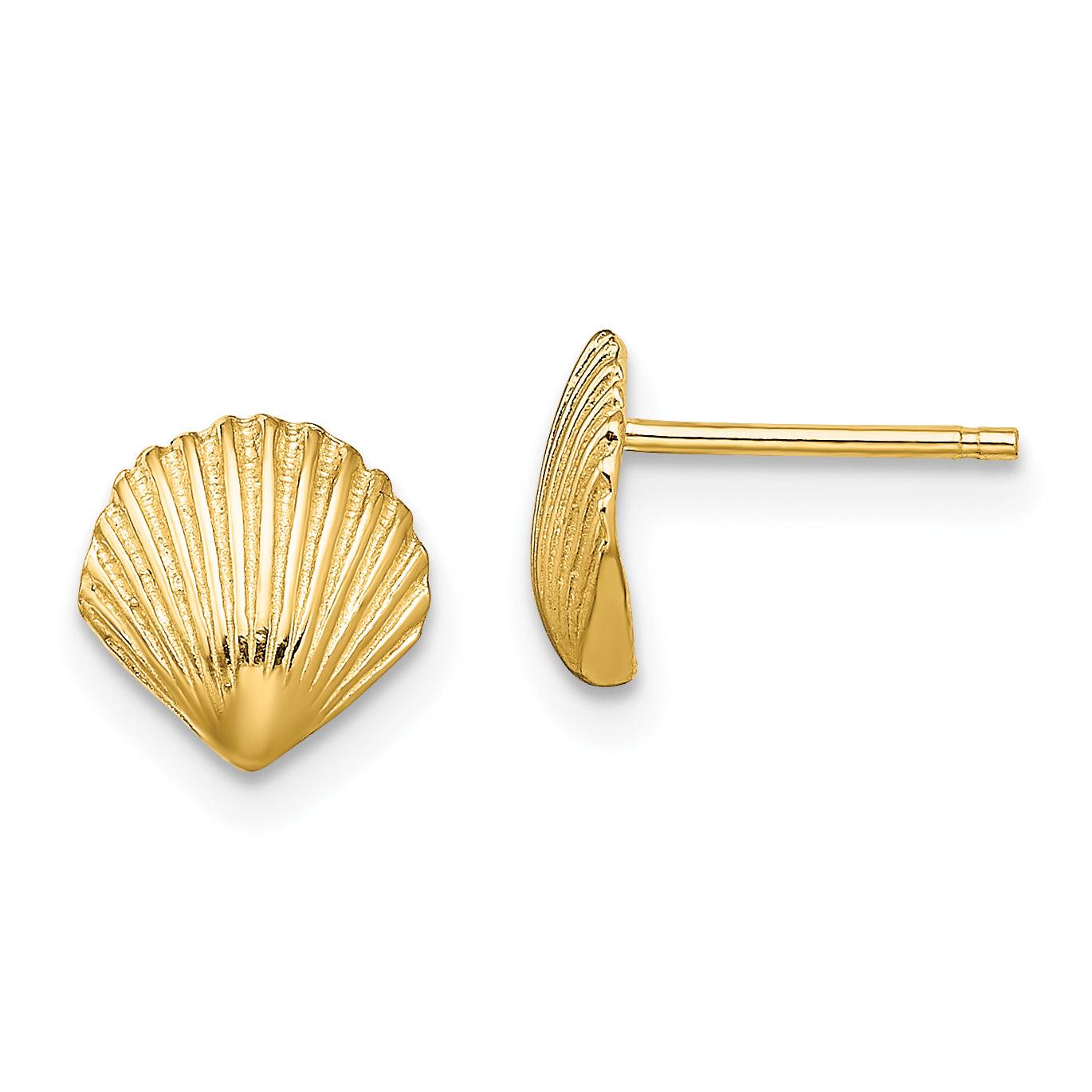 10K Scallop Shell Post Earrings