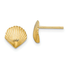 10K Scallop Shell Post Earrings