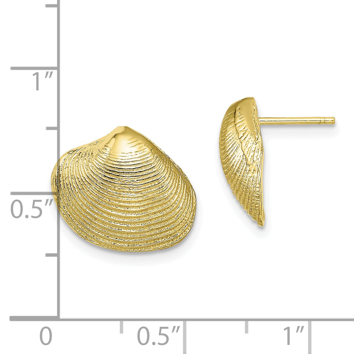 10K Clam Shell Post Earrings