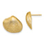10K Clam Shell Post Earrings