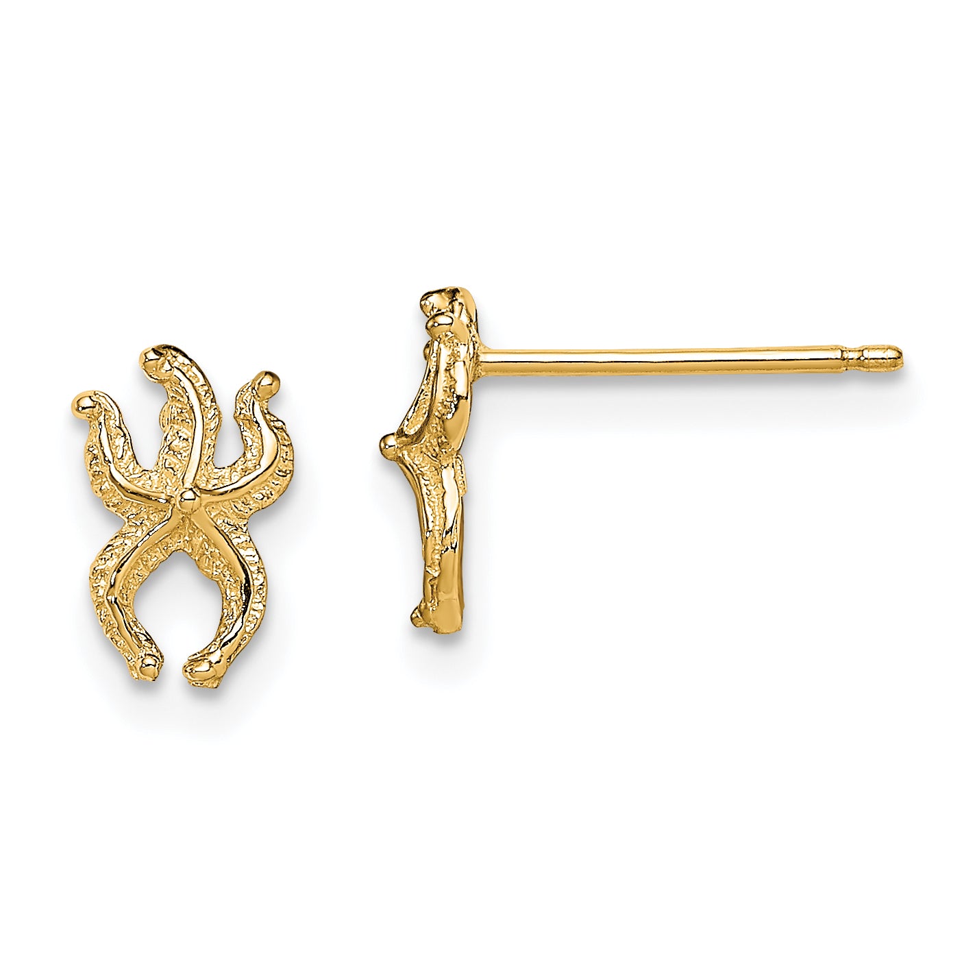 10K Mini Starfish Post Earrings Main image
