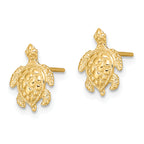 10K 2-D  Textured Sea Turtle Post Earrings