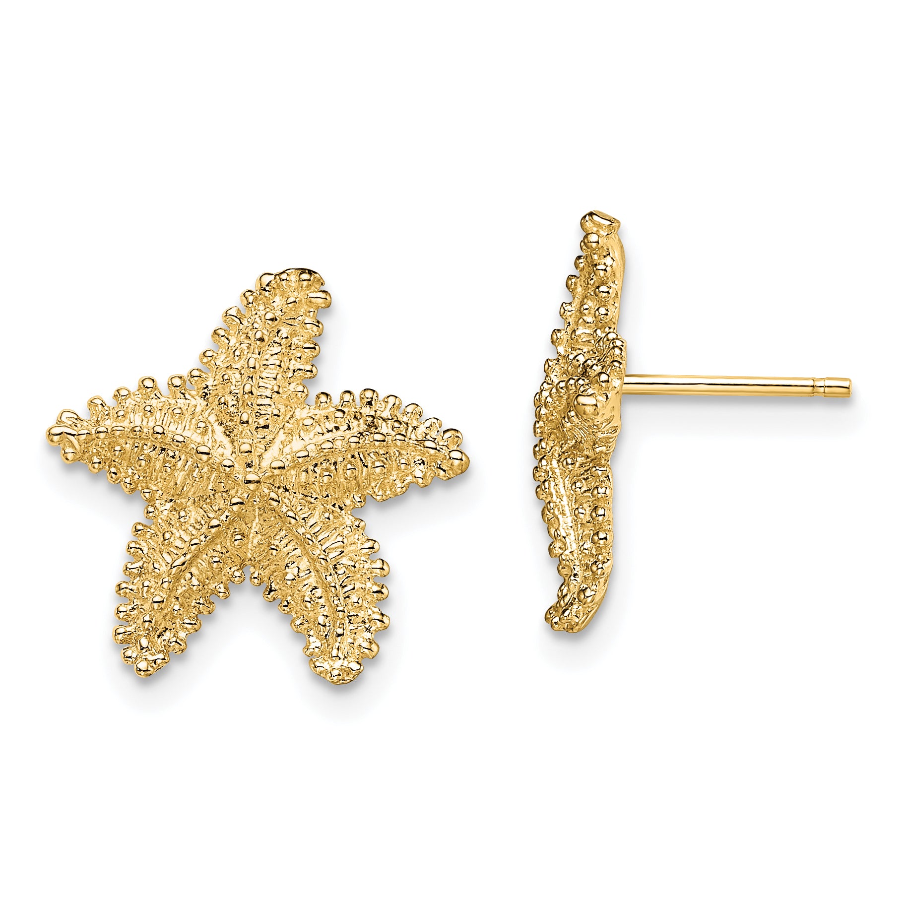10K Textured Beaded Starfish Post Earrings Main image