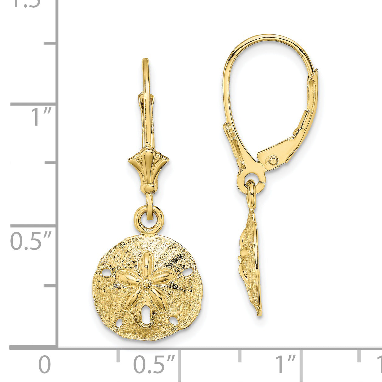 10K Polished Sand Dollar Leverback Earrings