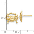 10k Crab Post Earrings