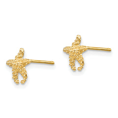 10K Polished Textured Starfish Post Earrings