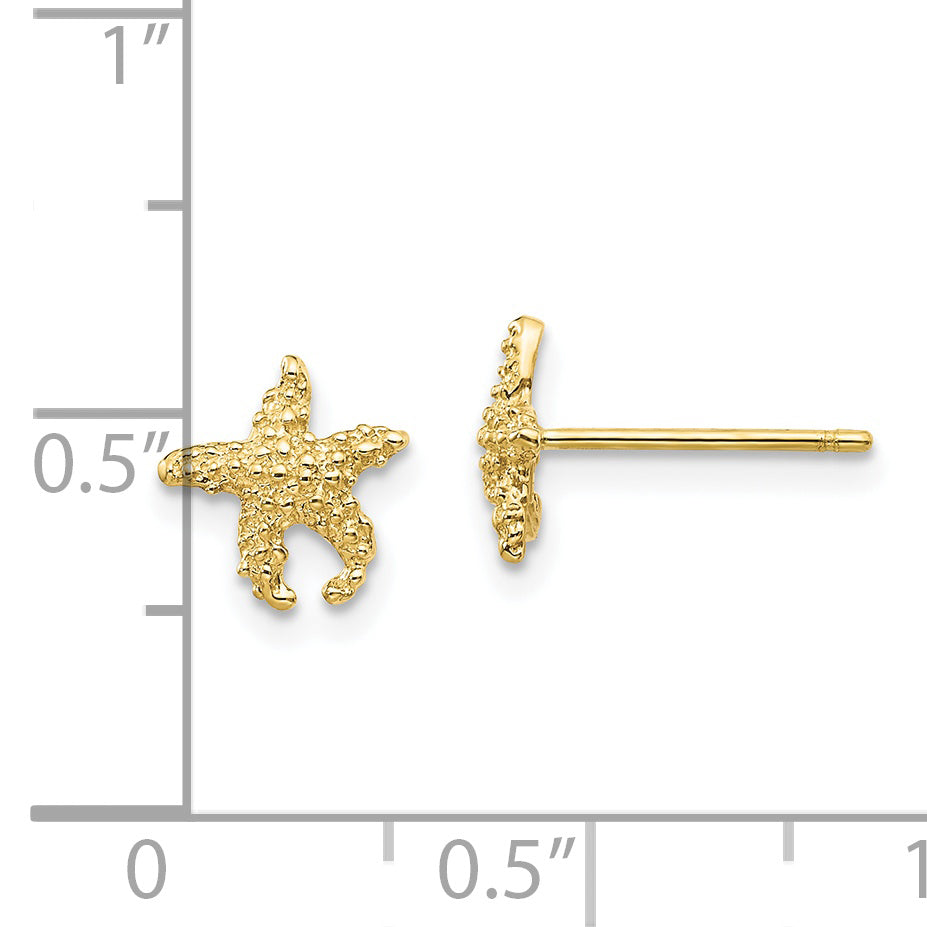 10K Polished Textured Starfish Post Earrings