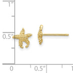 10K Polished Textured Starfish Post Earrings