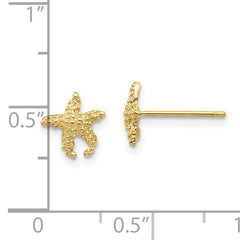 10K Polished Textured Starfish Post Earrings