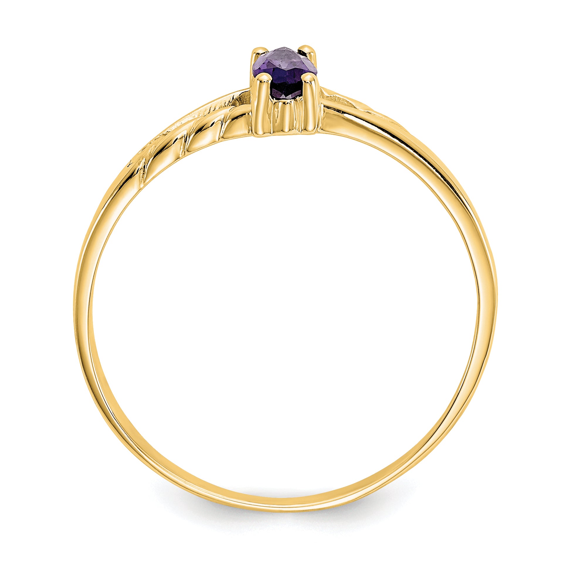 10k Polished Genuine Amethyst Birthstone Ring