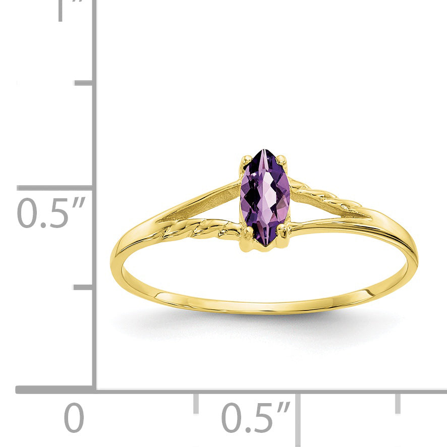10k Polished Genuine Amethyst Birthstone Ring