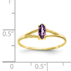 10k Polished Genuine Amethyst Birthstone Ring
