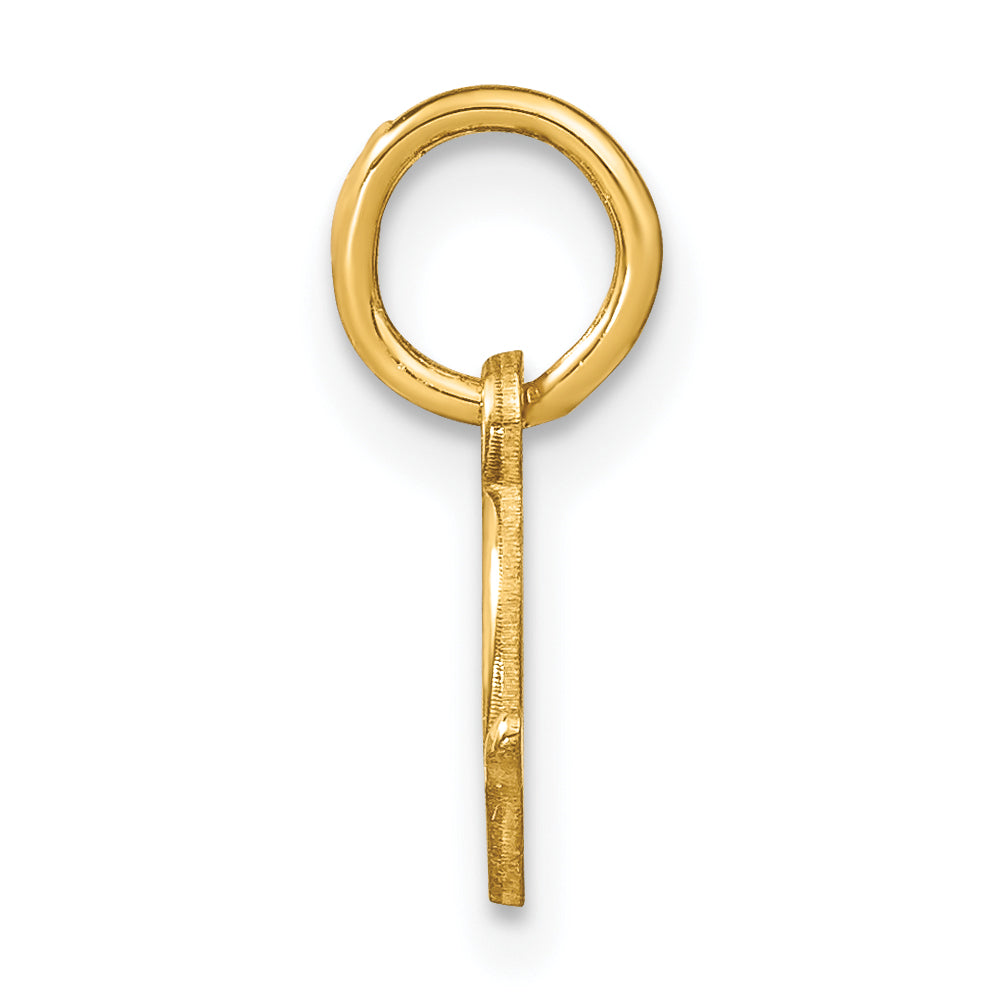 10KY Upper case Letter D Initial Charm