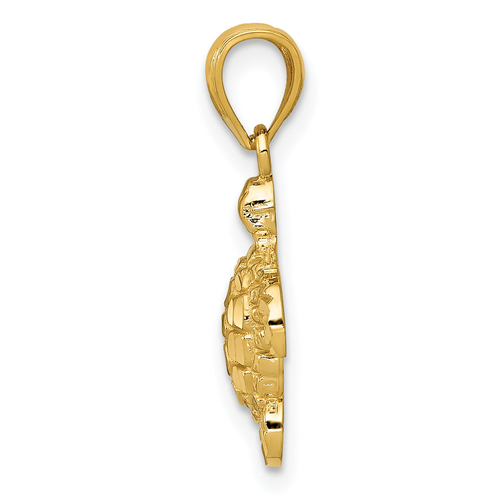 10k Gold Polished & Textured Small DC Turtle Pendant