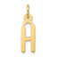 10k Large Slanted Block Initial H Charm