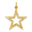 10k Diamond-cut Star Charm