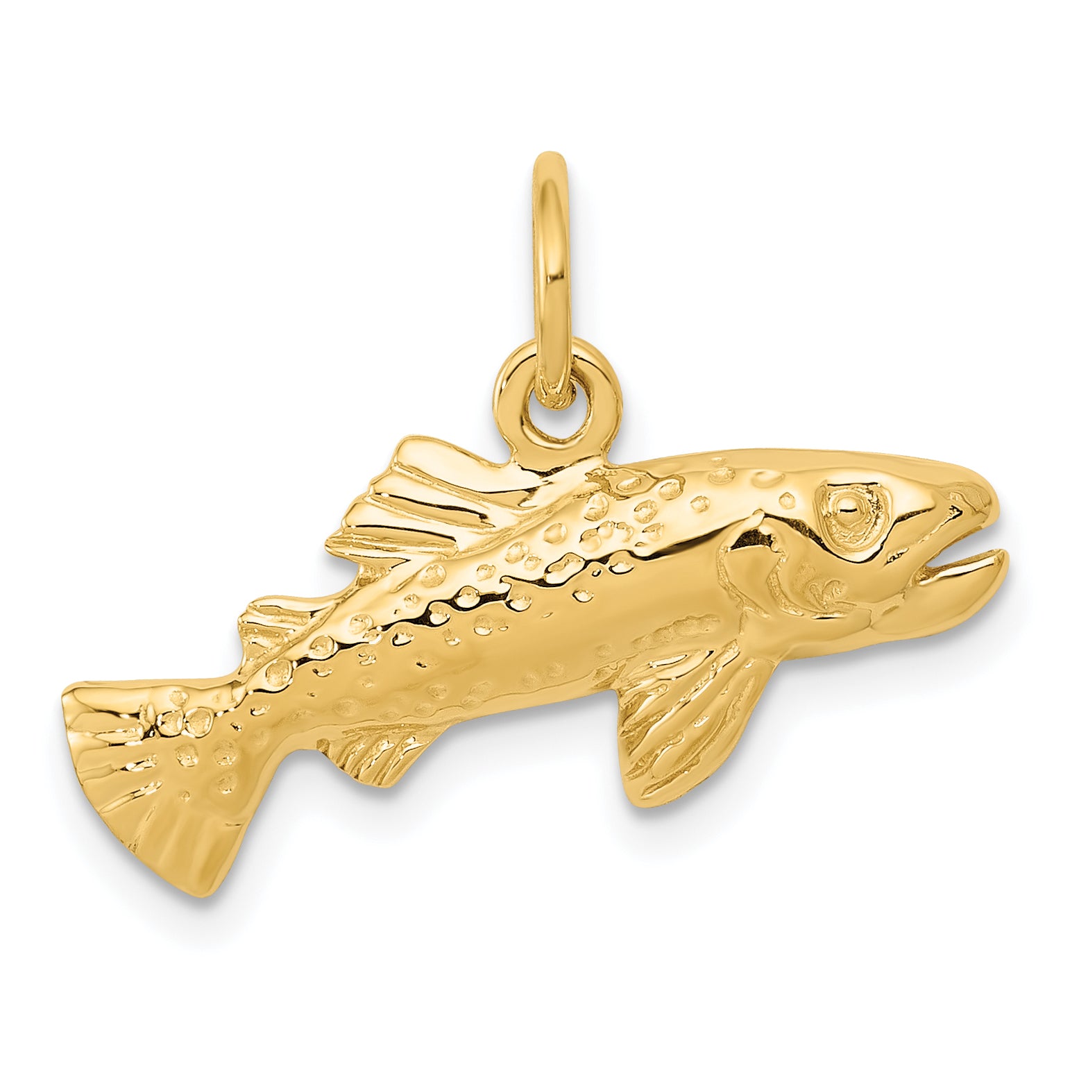 10k Fish Charm Main image
